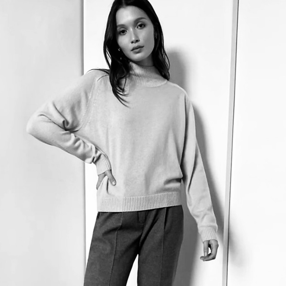 NWT Babaton Perry Turtleneck Sweater (S)